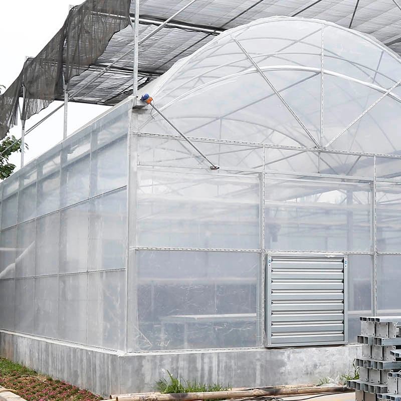 Automatic Shading System Multi-Span Greenhouse