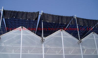Medical Hemp Growing Glass Greenhouse with Hydroponics