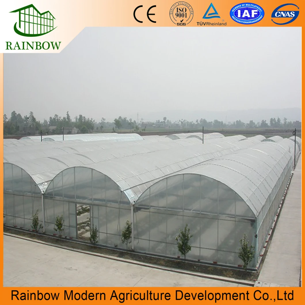 Multi-Span Arch-Type Film Greenhouse with Hydroponics System