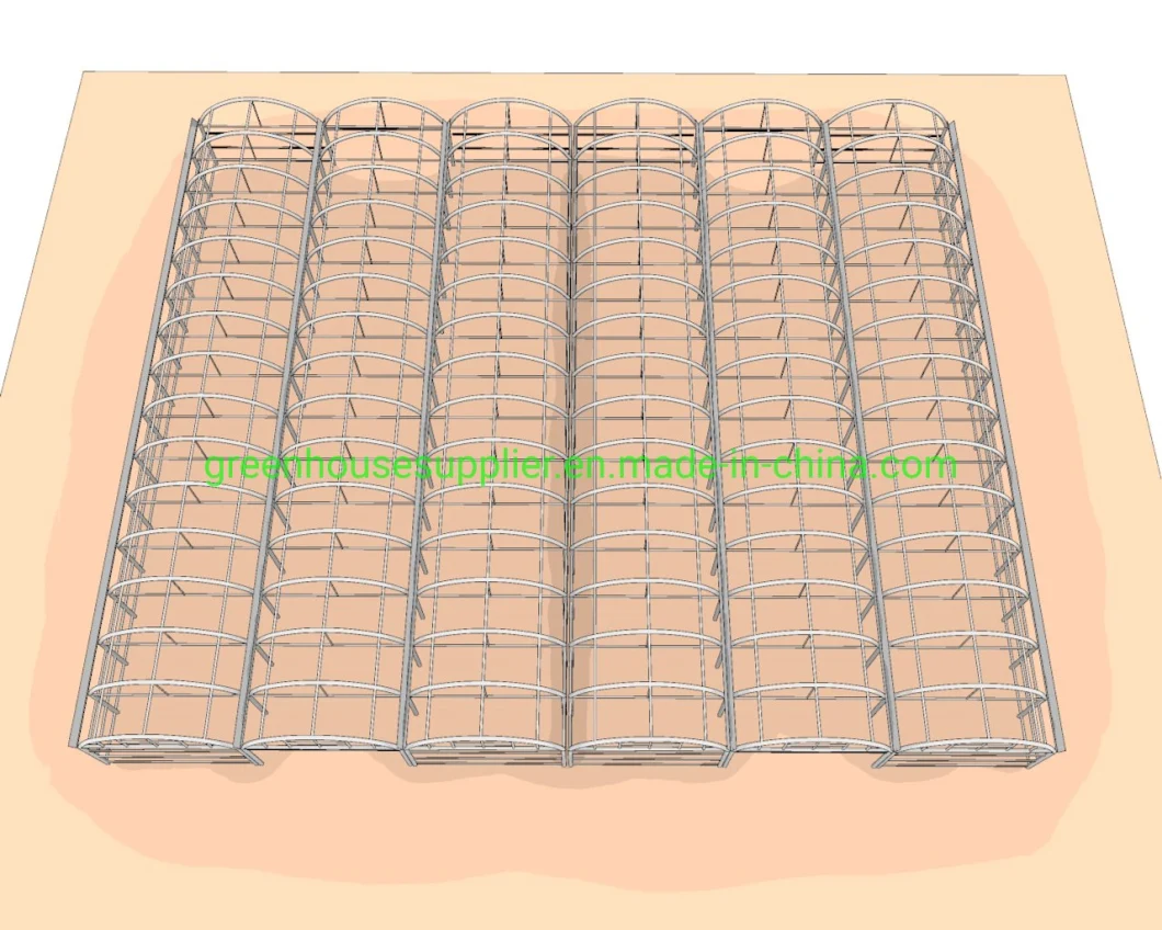 Polycarbonate Greenhouse with Hydroponic Systems Price for Vegetables
