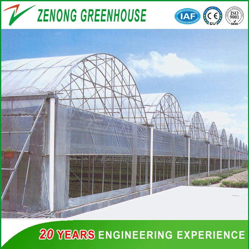 Vegetable Tomato Cucumber Greenhouse Seed Breeding Greenhouses Hydroponic Green House for Sale