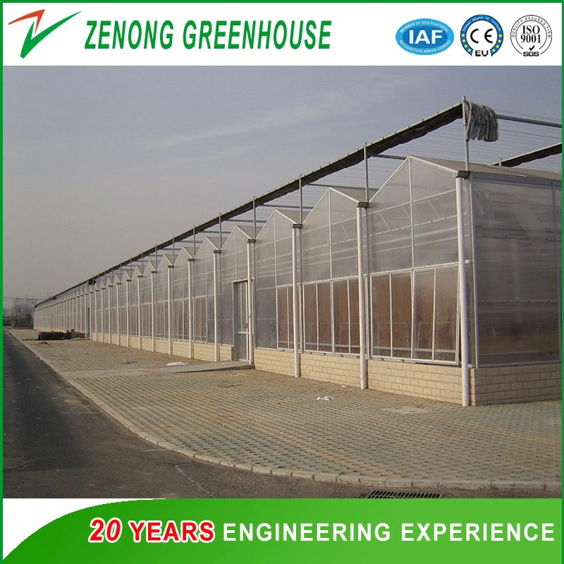 Intelligent Multi-Span PC Greenhouse for Vegetabels/Flowers/Seeds Breeding