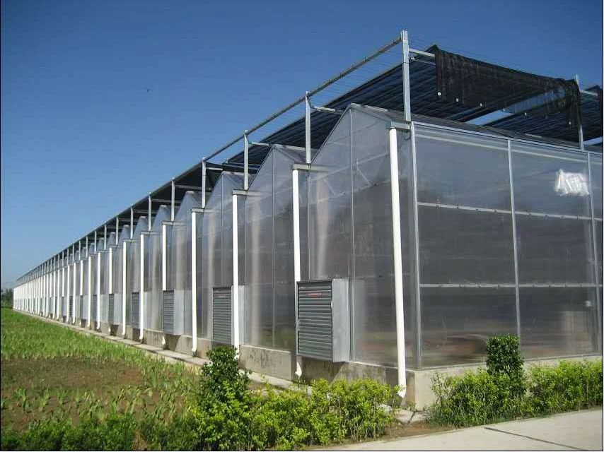High Quality Aquaponic Commercial Multi-Span Greenhouse