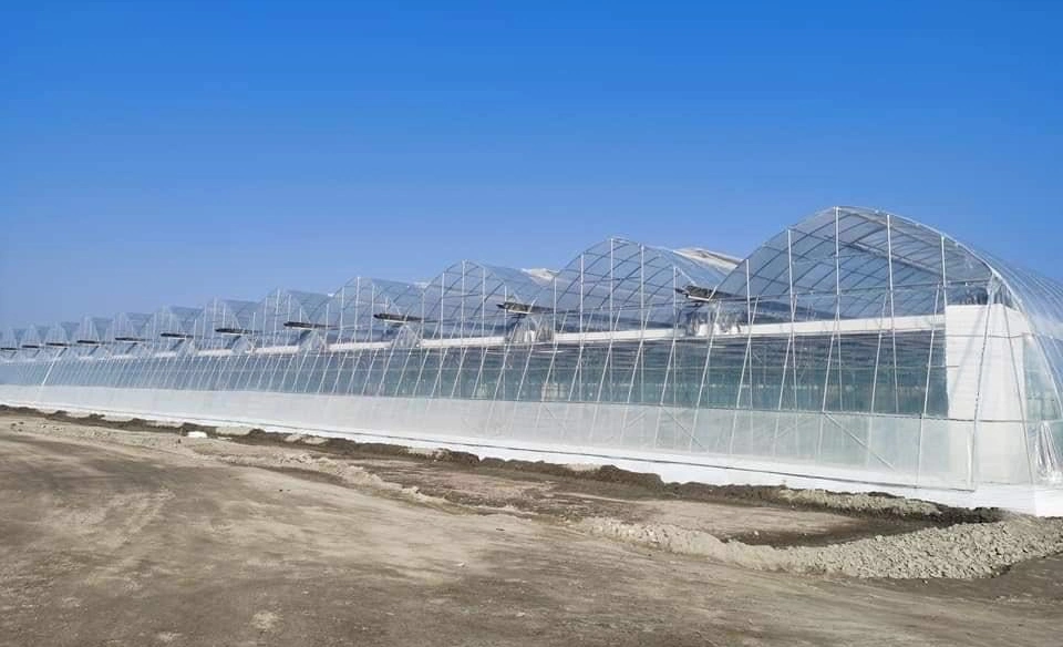 Commercial/Agricultural Multi Span Plastic Film Hydroponic Growing Greenhouse for Vegetable Growing with Cooling/Shading/Irrigation System