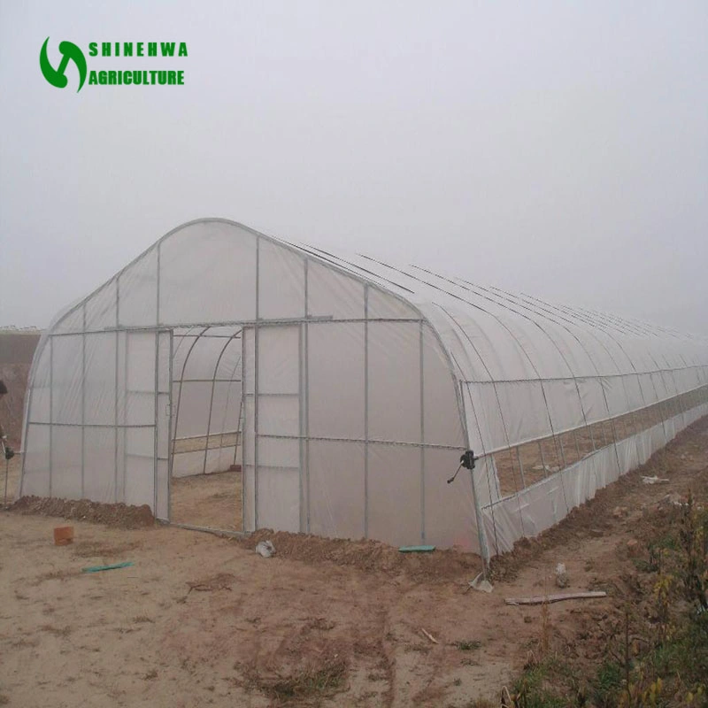 Agricultural Plastic Single-Span Film Greenhouse Tunnel Greenhouse with Shading System