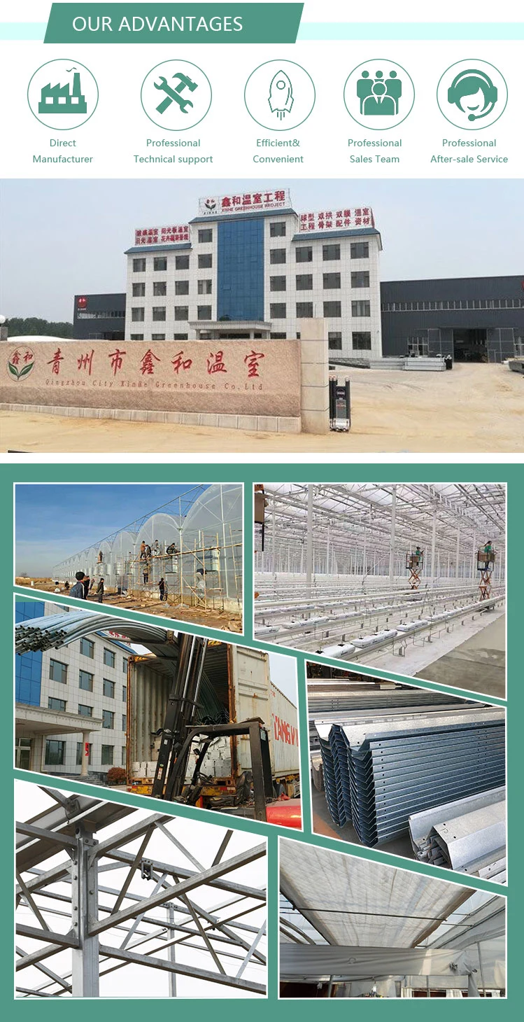 Low Cost Commercial/Agricultural Plastic Film Greenhouse