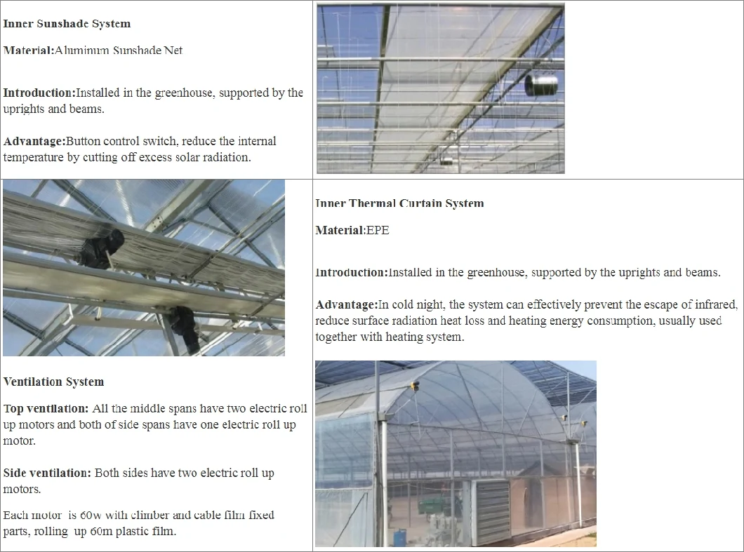 Xinhe Agricultural Multi-Span Plastic Multi-Span Film Greenhouse