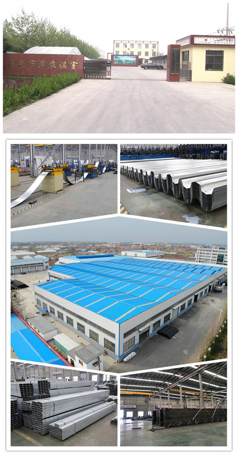 China Economical Multi Polytunnel Film Greenhouse for Vegetables/Flowers/Fruits Cultivation