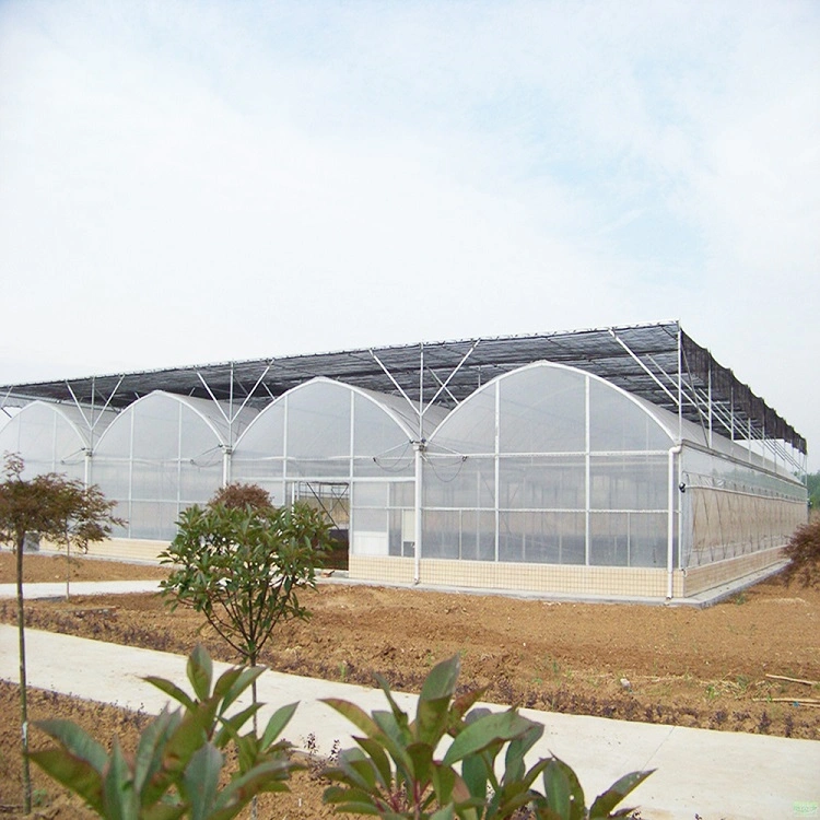 Shading System Greenhouse, Sunshade Greenhouse, Po Film Greenhouse with Sunshade Net
