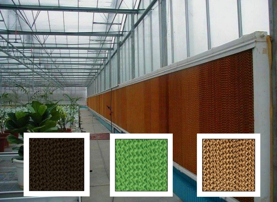 High Quality Greenhouse Cooling Pad for Agriculture/ Commercial Greenhouse Cooling/ Ventilation