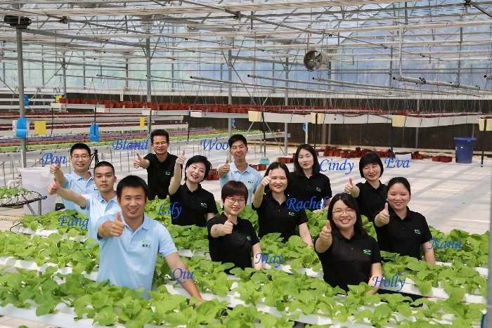 Auto shading screen Polycarbonate Agricultural Greenhouse with motor vent