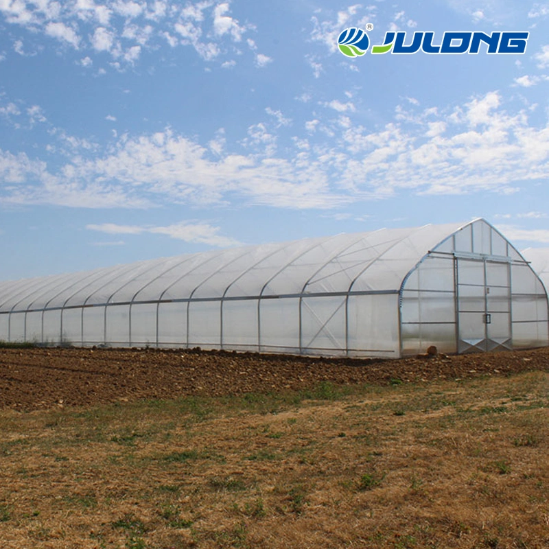 Agricultural Vegetable Venlo Multi Span Double Layer Polycarbonate Sheet Hydroponics Greenhouse for Farming Flowers Tomato