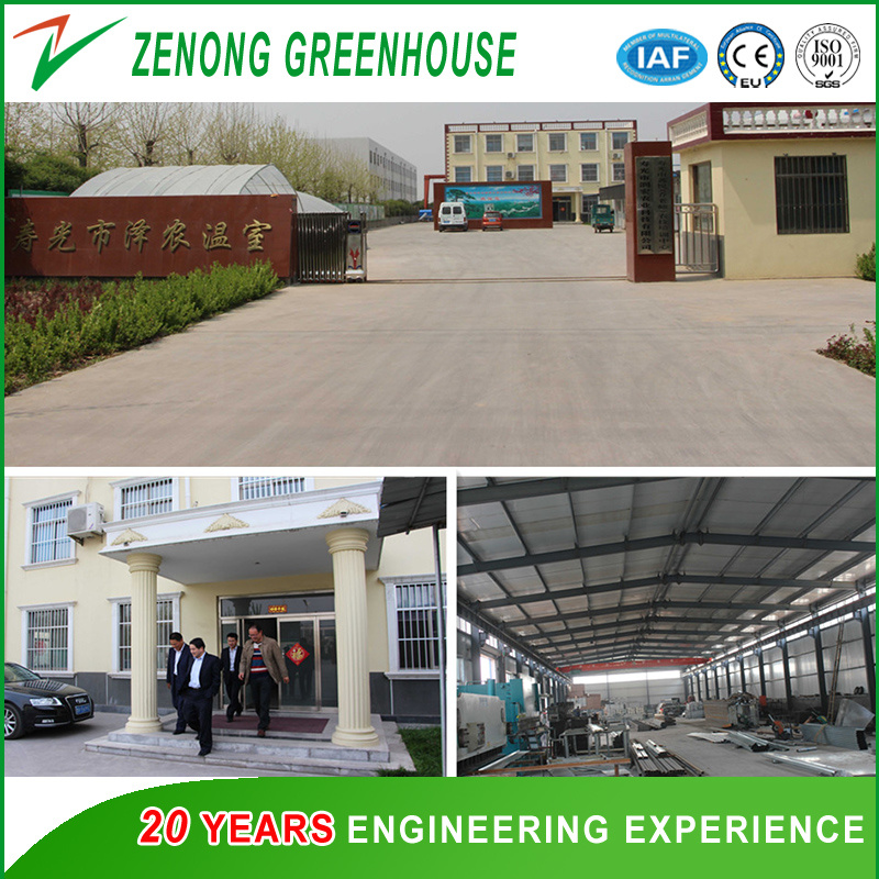 Commercial Multi-Span PC Sheet Intelligent Greenhouse for Tourism/Flower Market/Seedling Breeding