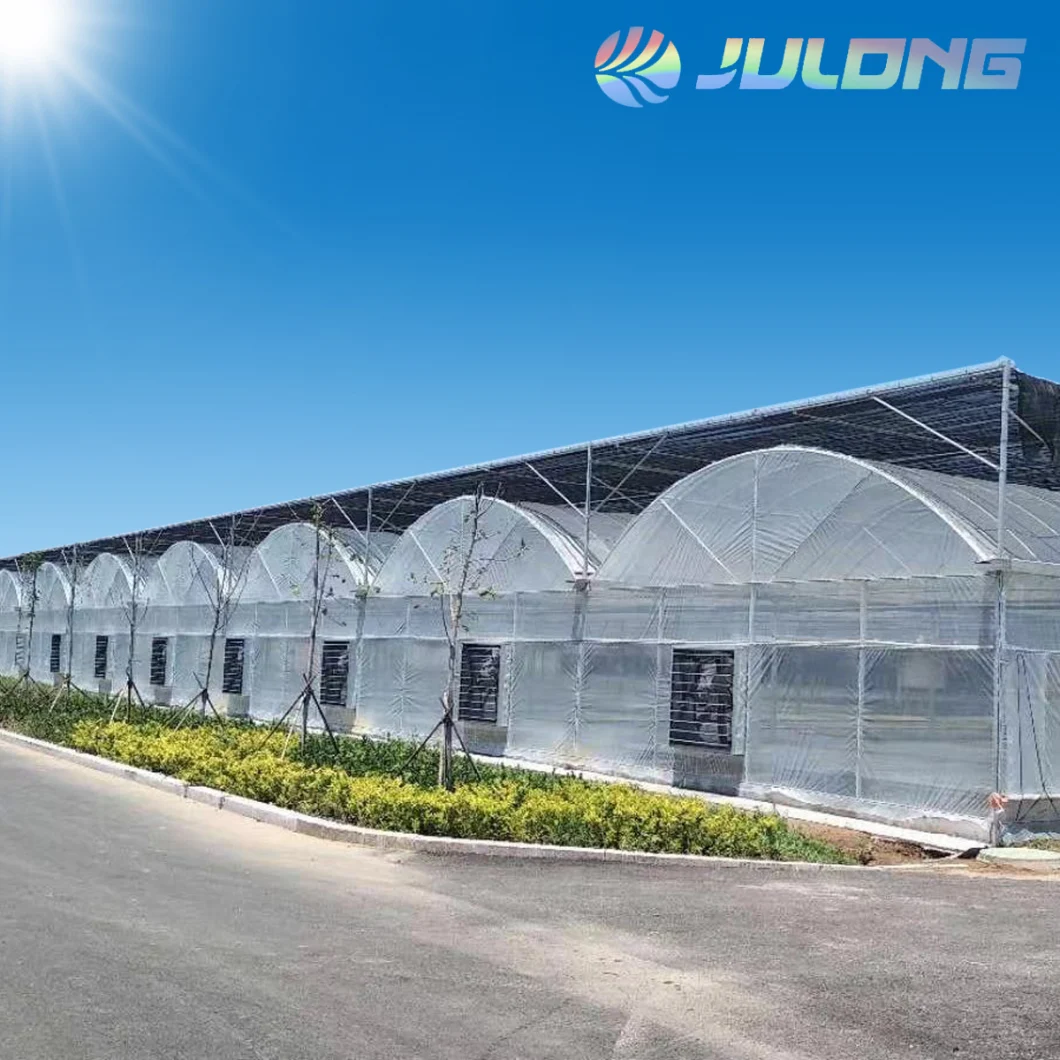 Arch Multi Span Polyethylene Greenhouse PE Film Greenhouse for Tomato Cucumber Flower Horticulture
