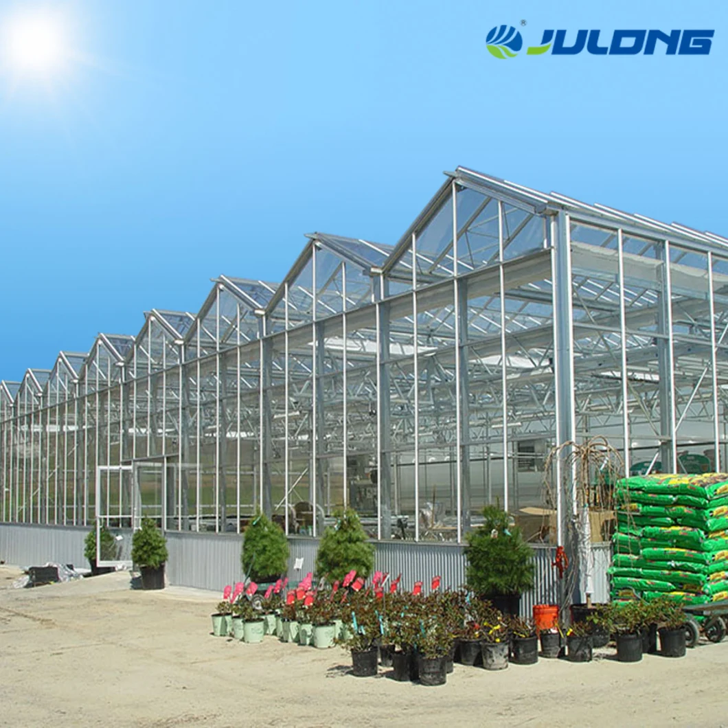 Multi-Span Venlo Glass Greenhouse with Galvanized Steel Frame for Lettuce/Pepper/Tomato/Cucumber