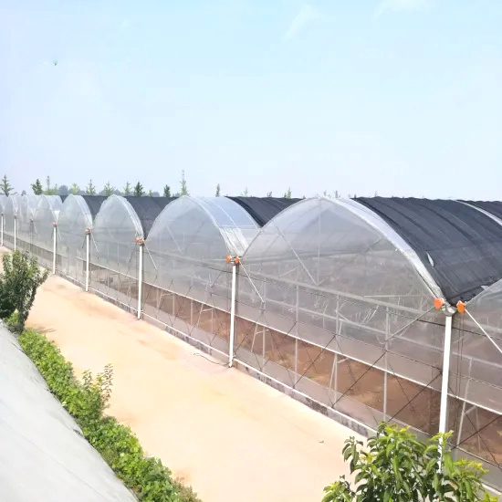 Plastic Film Agriculture Greenhouse for Tomatoes/Fruits
