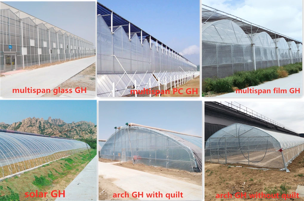 Professional Multi-Span Tunnel/Arch Type PE/Po Film Plastic Greenhouse for Tomato/Cucumber/Strawberry