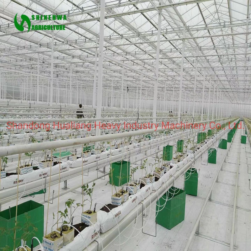 Intelligent PC Sheet Light Deprivation Cbd Greenhouse for Hemp/Growing
