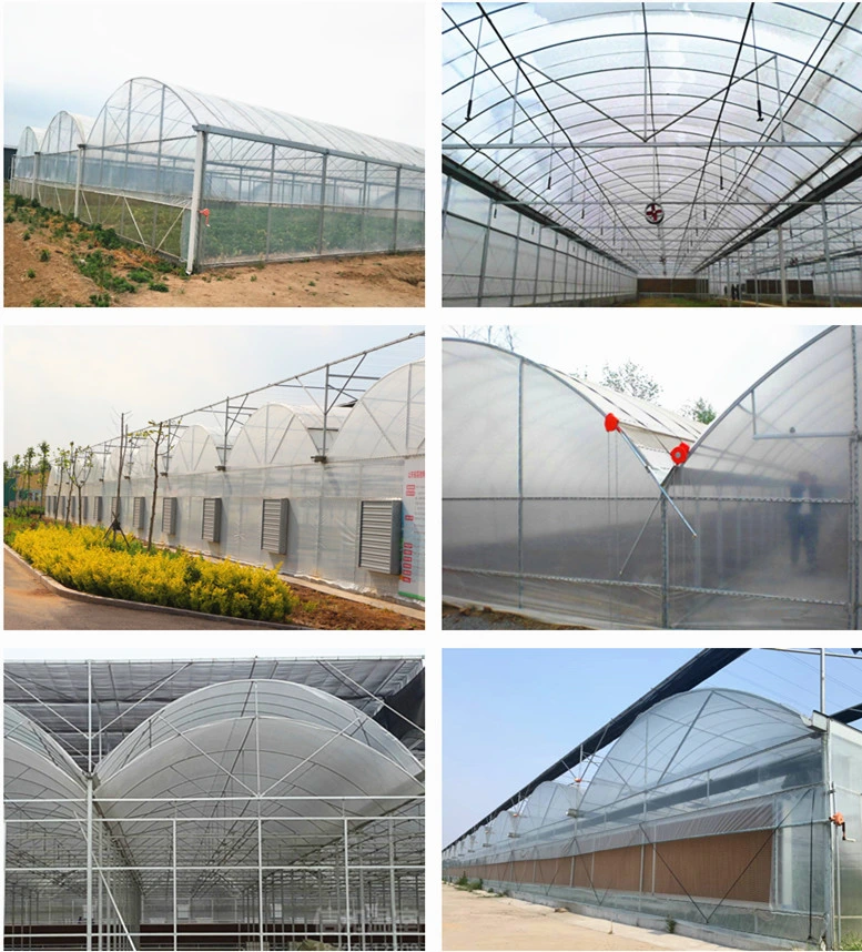 Arch Greenhouse Poly Film Covered Greenhouse for Vegetables/Flowers/Fruits/Seed Breeding