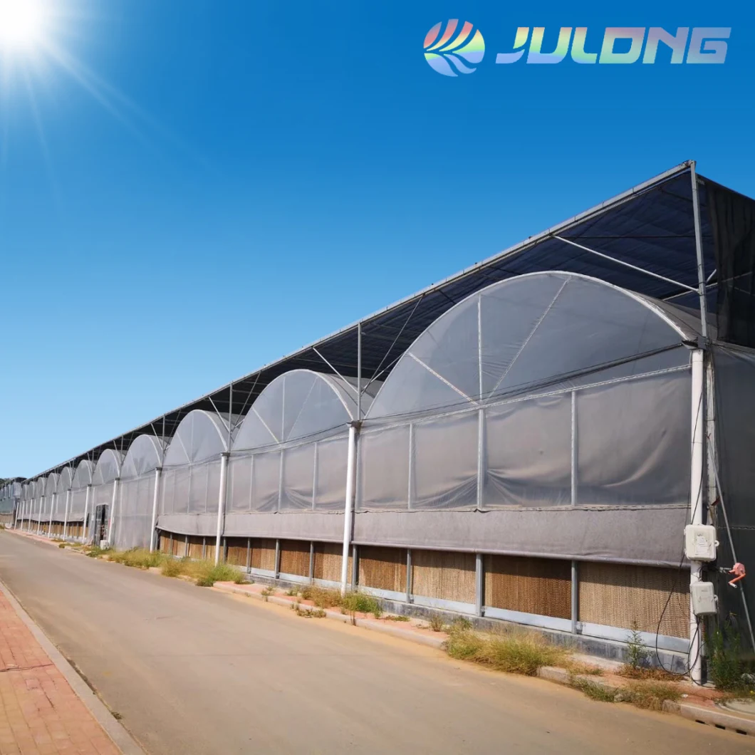 Professional Agriculture Greenhouse Building Materials Multi Span Greenhouses for Planting Breeding Seeding Nursery