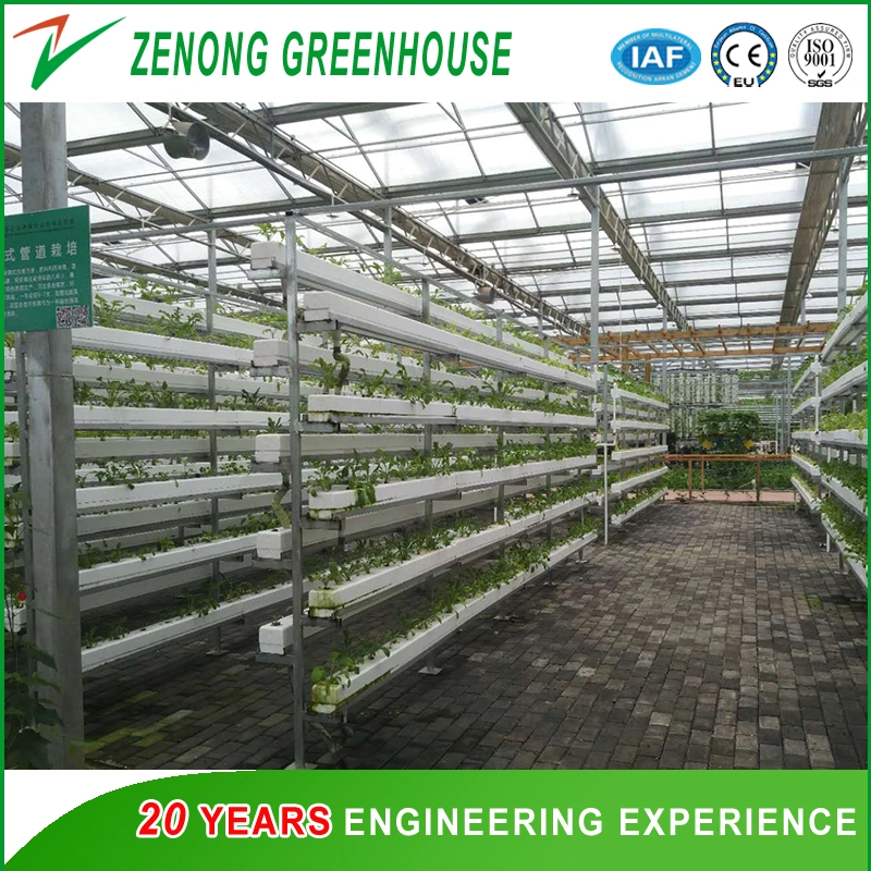 Zenong Turn-Key Greenhouse Project High Quality PC Greenhouse for Hydroponics/Seed Breeding/Eco Restaurant