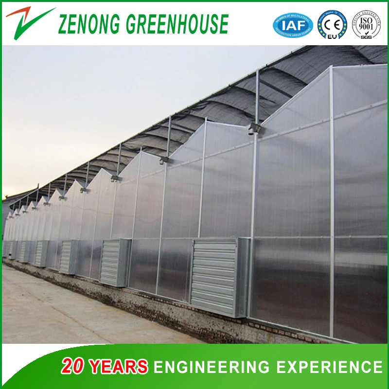 Tropical PC Greenhouse with Nft Hydroponic Growing System