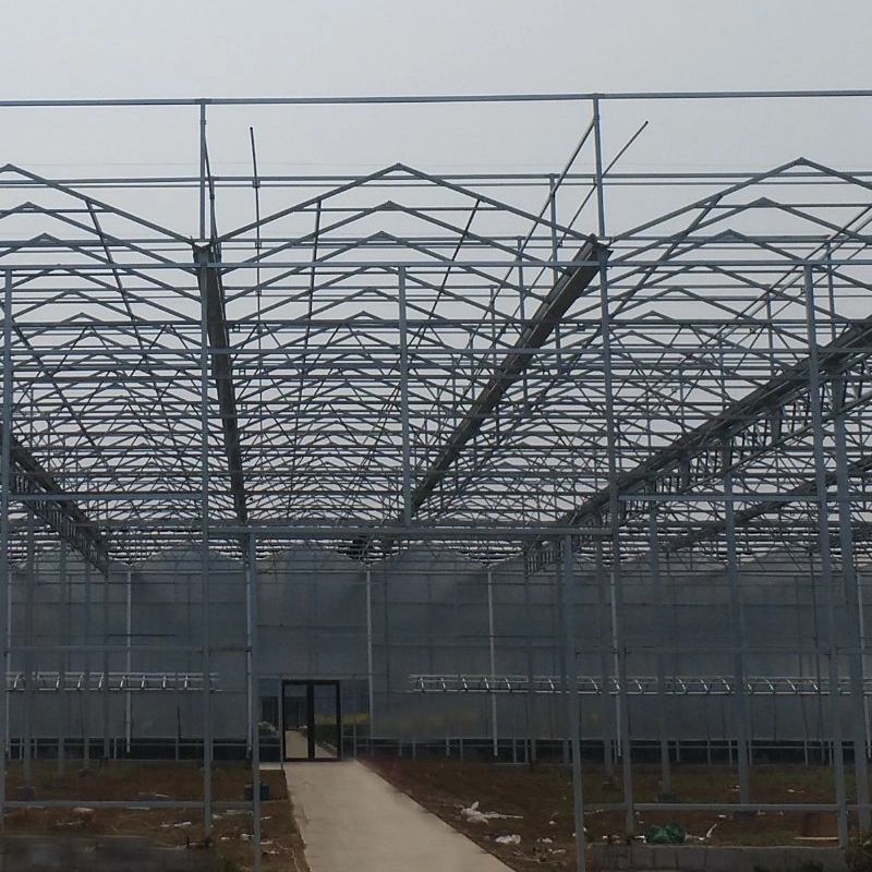 Glass Plastic Film Commercial Greenhouse with Shading Net