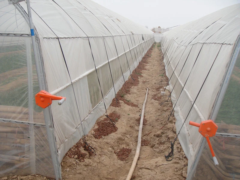 High Quality Agricultural/Commercial Single Span Tunnel Greenhouse with Hydroponic/Cooling/Irrigation/Shading System