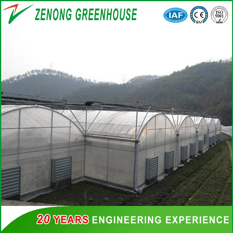 Plastic Film Multi-Span Greenhouse with Ventilation/Shading Net/Irrigation/ for Sightseeing