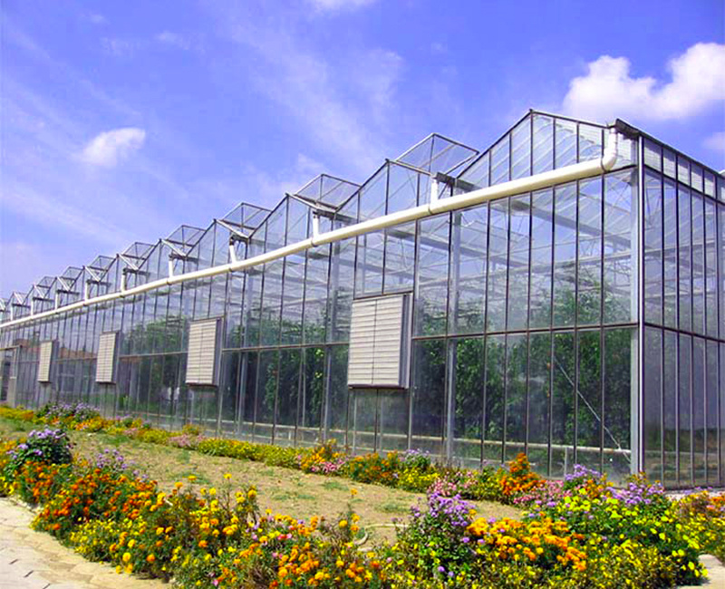 Venlo Glass Greenhouse for Vegetable Tomato Strawberry Cucumber Pepper