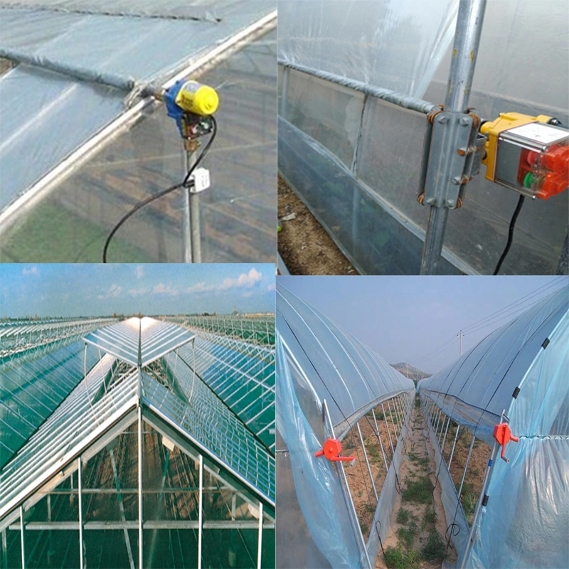 China Professional Multi-Span PE/Po Film Plastic Hydroponics Greenhouse Forvegetable/Tomato/Cucumber