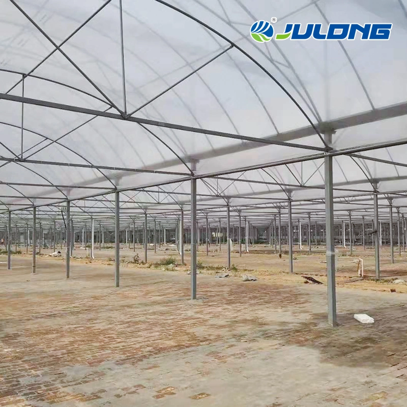 Easy to Install Commercial Agriculture Greenhouse Wide Plastic Film Greenhouse