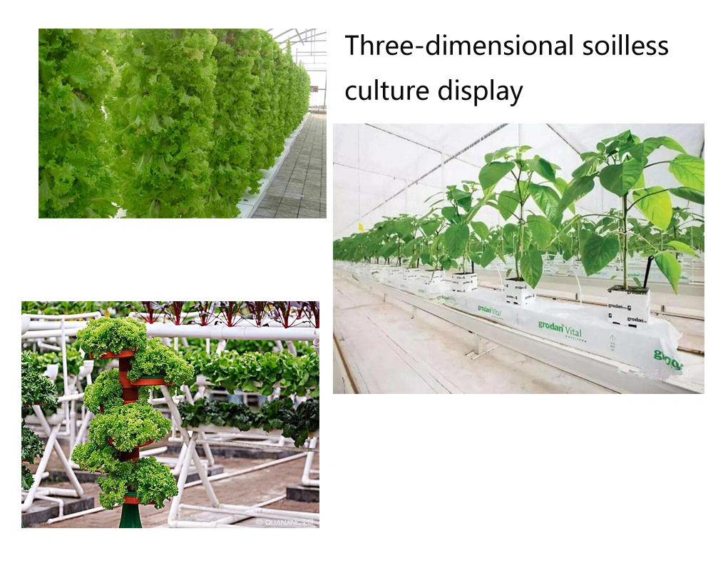 Agricultural Large-Scale Intelligent Cultivation Hydroponic System, Glass Greenhouse Soilless Cultivation, Tomato Greenhouse Planting Greenhouse