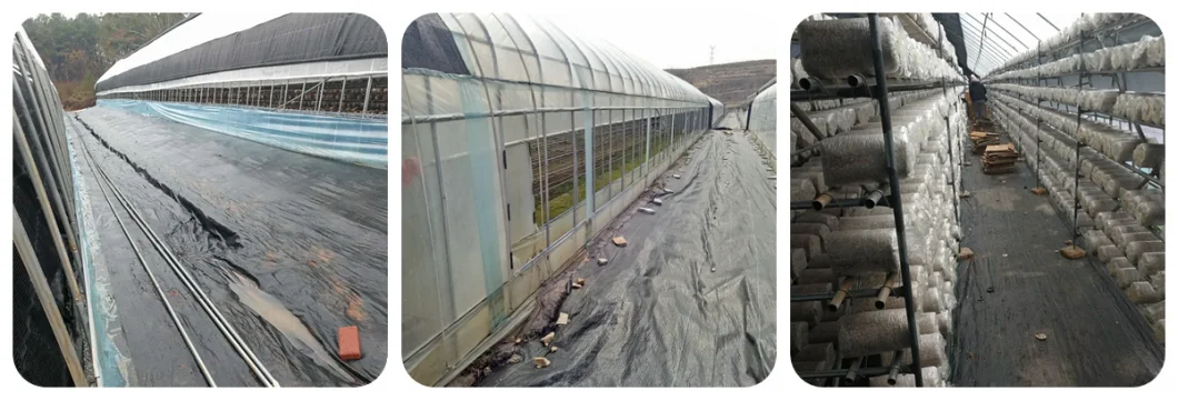 Econimic High Tunnel Mushroom Greenhouse with Shading Net
