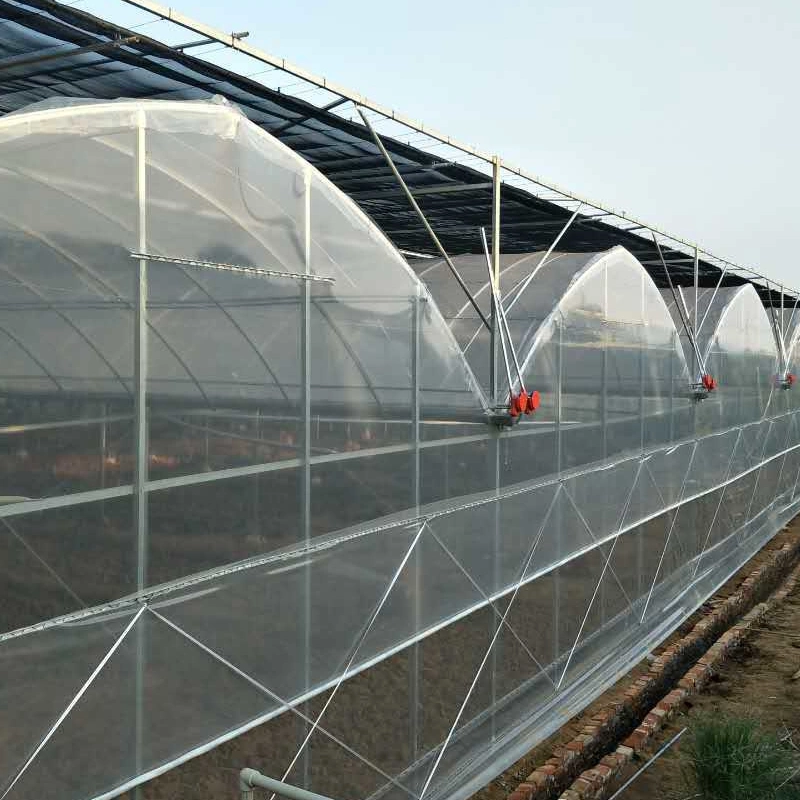 Automatic Shading System Po Film Cheap Multi-Span Hydroponic Greenhouse