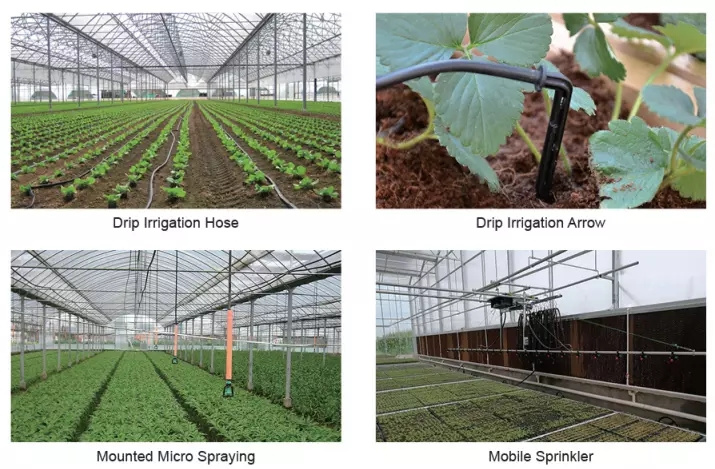 Commercial/Agricultural/Farming/Breeding Gothic Multi-Span Po/PE Film Greenhouse with Hydroponic/Irrigation/Ventilation