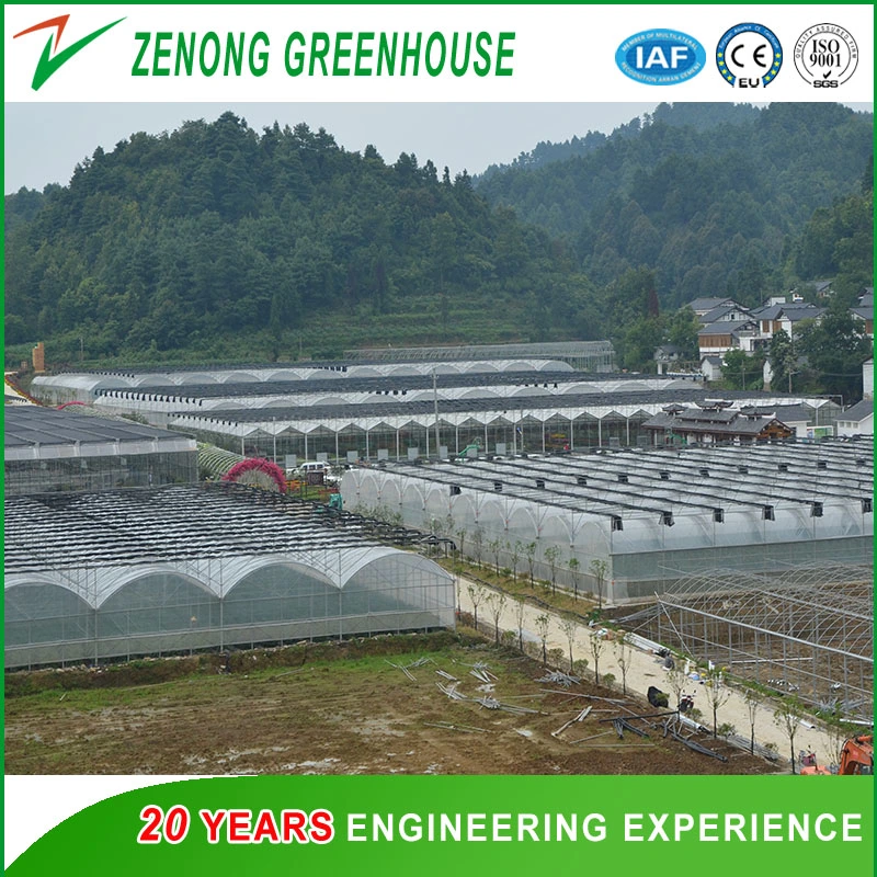 Multi Tunnel Film Greenhouse for Vegetables/Flowers/Hydroponics/Tomato/Strawberry