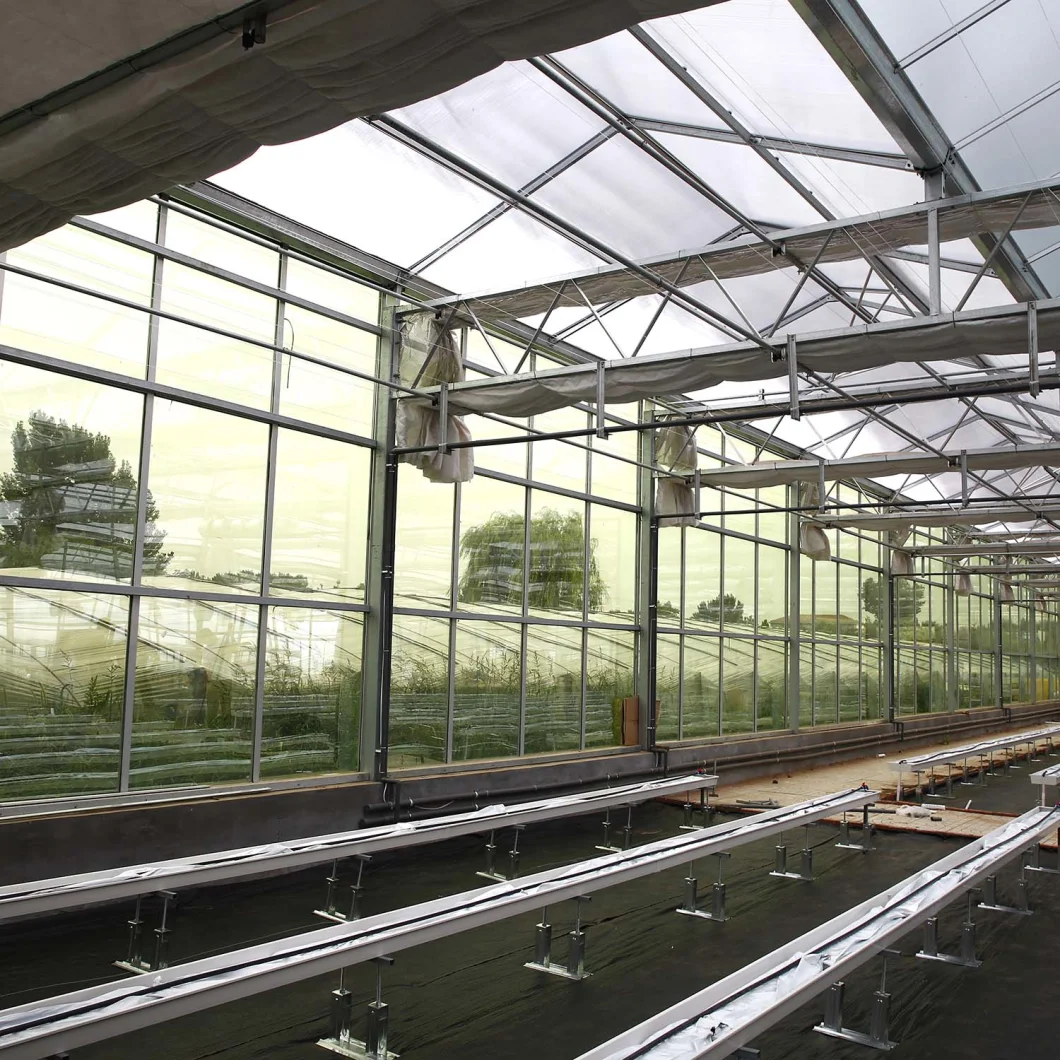 Building Materials Glass Greenhouse Multi-Span Venlo Commercial Greenhouse