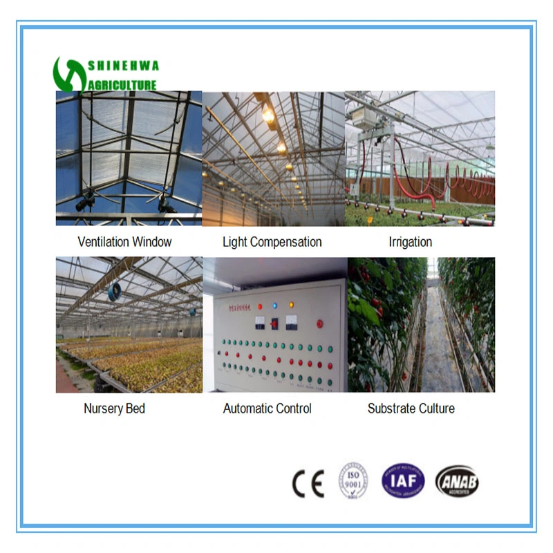 2020 Clear PC Greenhouse Price for Agriculture