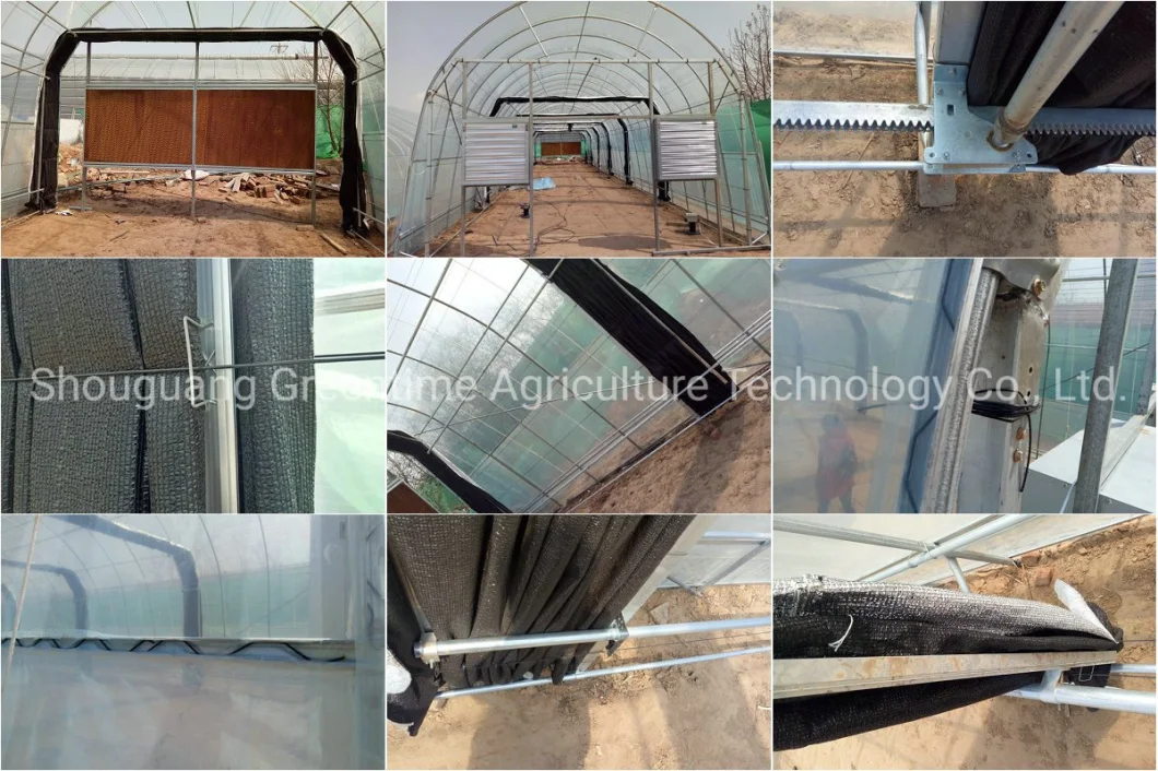 Hot Sale Light Deprivation/Blackout Greenhouse Made in China