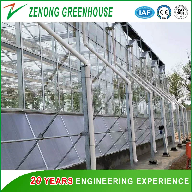 Modern Agriculture Glass Multi-Span Greenhouse for High-Tech Display/Sightseeing/Seedling Breeding