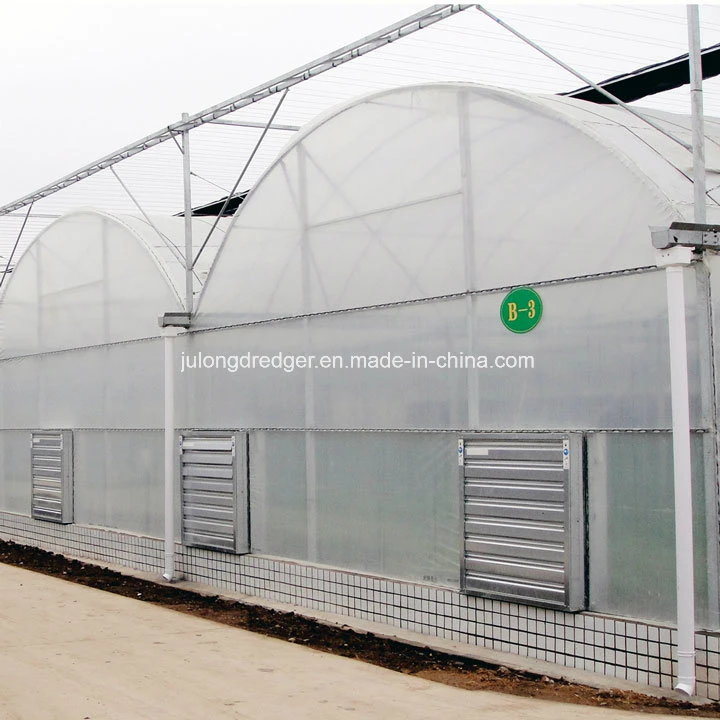 Chinese Plastic Film Greenhouse for Tomato/Lettuce/Cucumber Growth