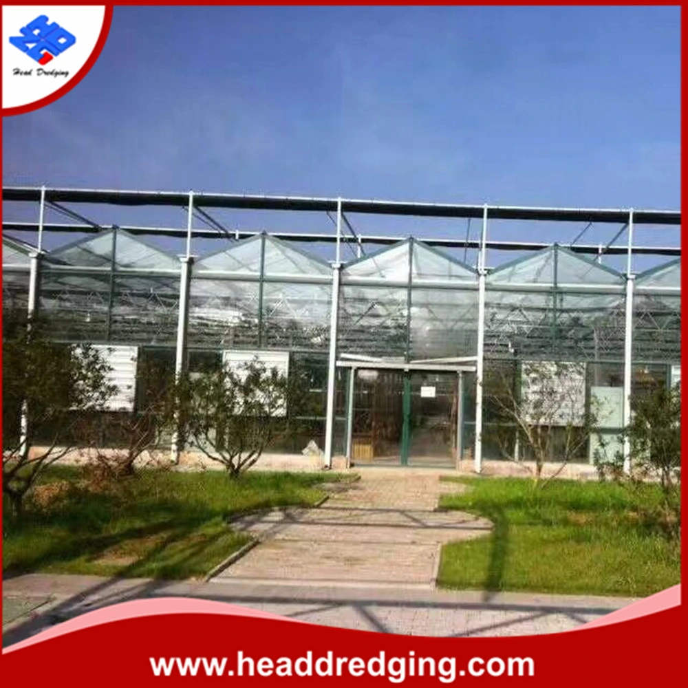 Low Price Chinese Agricultural PC Sheet Greenhouse with Hydroponic System for Tomatoes/Peppers/Cucumbers