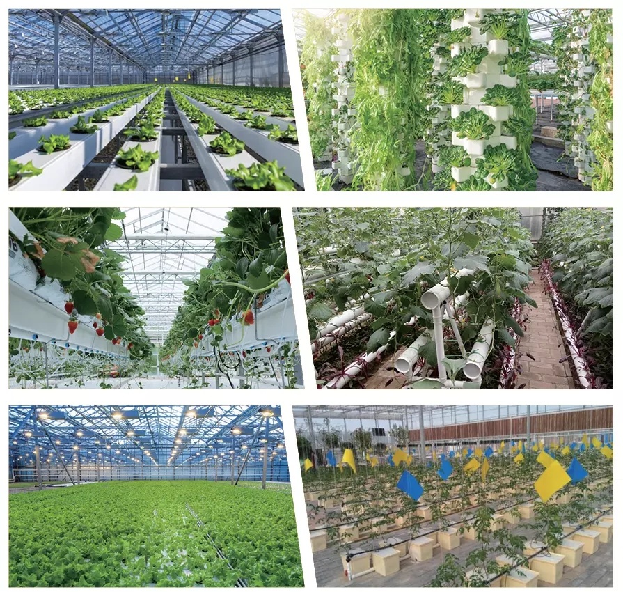 Commercial/Agricultural/Farming/Breeding Gothic Multi-Span Po/PE Film Greenhouse with Hydroponic/Irrigation/Ventilation