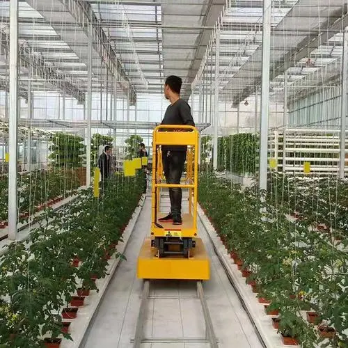 Styles of Greenhouse Specialized Scissor Lift Table Platform/Trolley Cart for High Position Fruit Picking