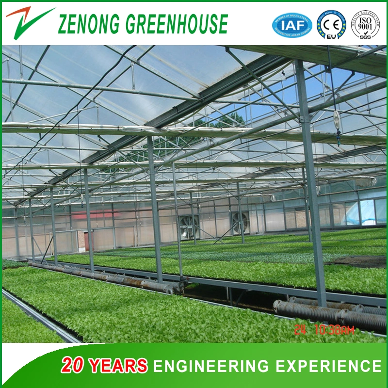 Greenhouse Farming Agriculture Greenhouse Hydroponic Greenhouse Seed Breeding Greenhouse for Sale