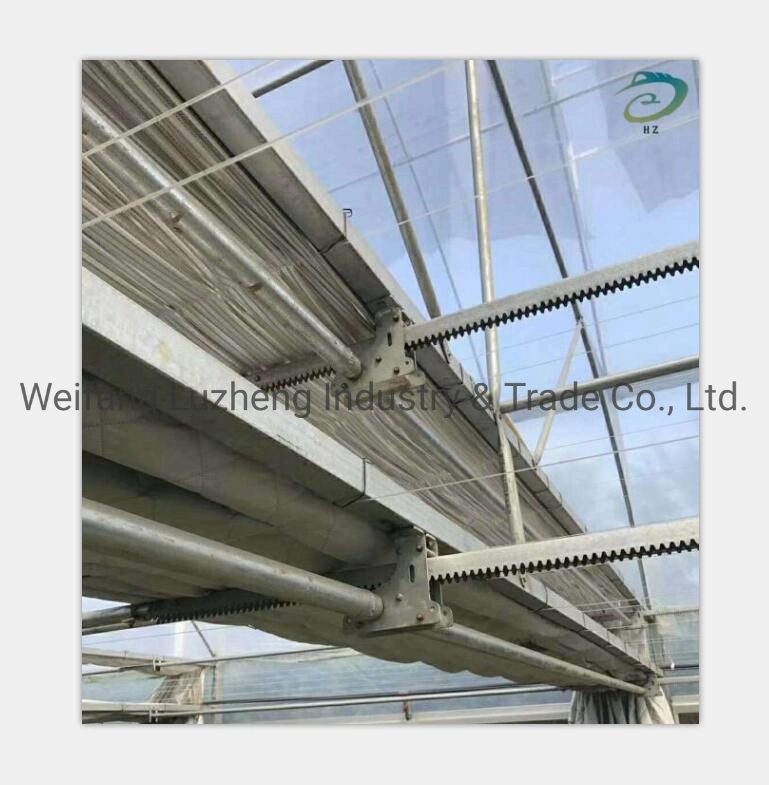 Agricultural Multi Span Plastic Film Greenhouses, Qingzhou Agricultural Hydroponics Venlo Glass Greenhouse