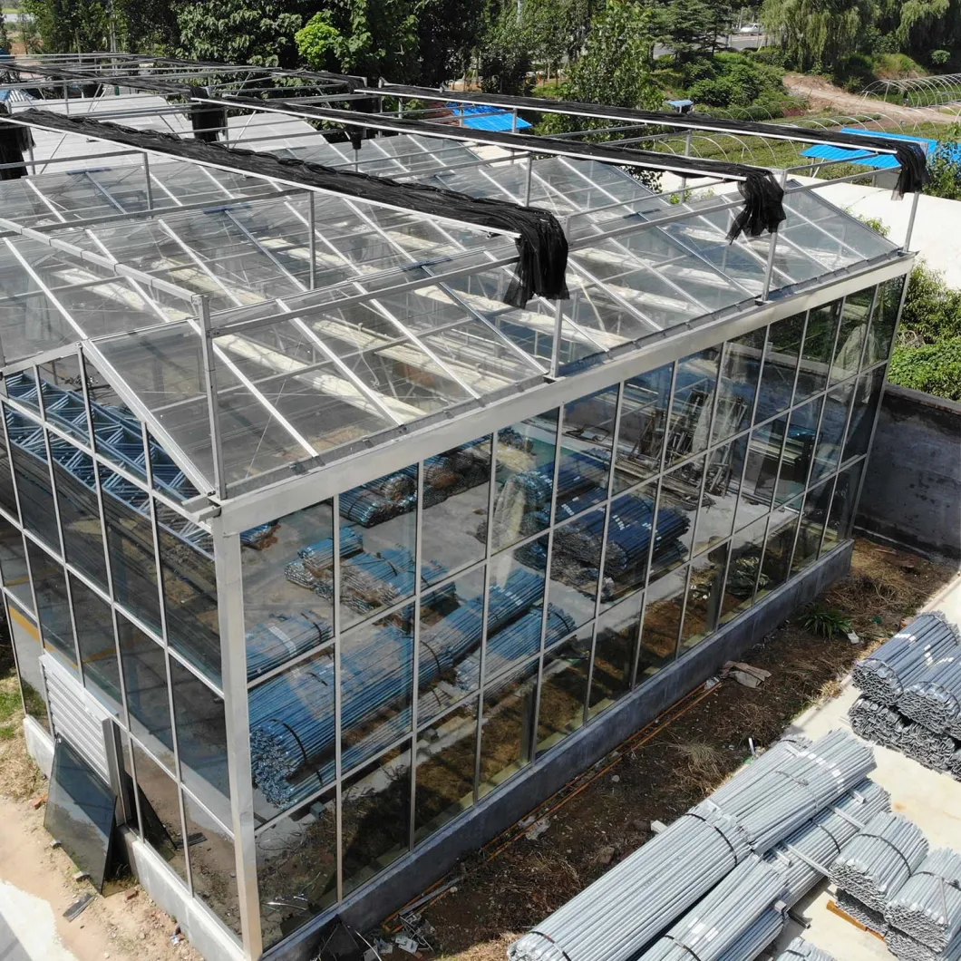 Multi Span Agricultural Greenhouses for Mushroom Greenhouse