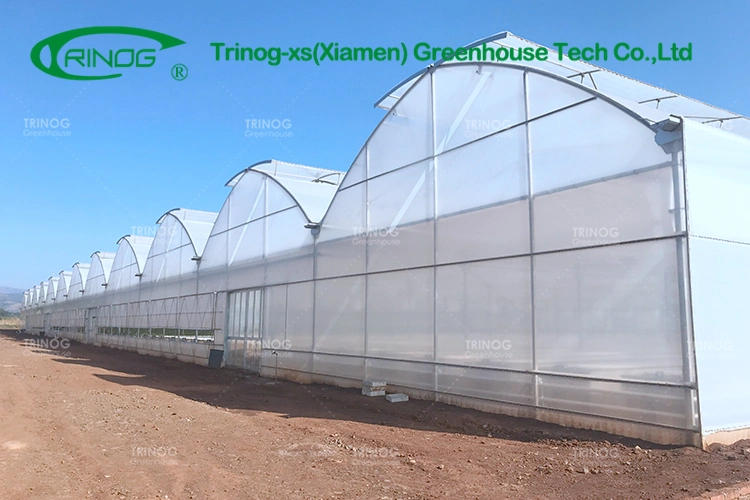 Low Cost Commercial Multi-Span Film Greenhouse with Shading System for Sale