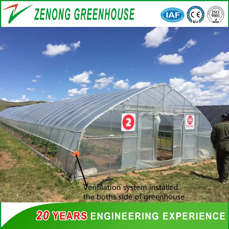 Po Film Single-Tunnel Greenhouse with Outside Shading Screen for Pumpkin/Pepper/Broccoli